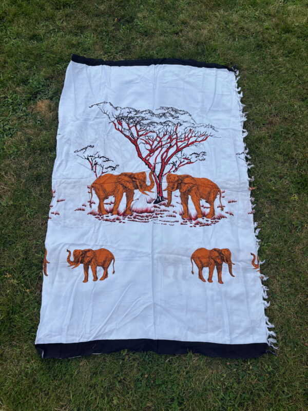 Kanga